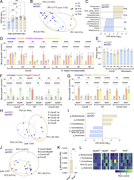 Microbiota-dependent induction of senGC function. (A) Total bacterial load in the colon of rats at different postnatal days quantified by 16S qPCR of stool DNA. (B) Principal coordinate analysis of postnatal rat microbiota beta diversity (unweighted UNIFRAC) based on metataxonomic 16S sequencing of DNA from stool samples. (C) Linear discriminant analysis (LDA) size effect analysis of bacterial taxa significantly enriched in stool from rats at different ages. Taxa enrichment in specific age groups is indicated. (D) Ex vivo mucus growth in adult conventionalized (ConvD) and B. fragilis monoassociated mouse colon stimulated with P3CSK4 in the presence or absence of senGC activation inhibitors targeting endocytosis (Dynasore) or inflammasome activation (Casp IP). (E) Total bacterial load in colon of conventionally raised (CR), ConvD, and monoassociated mice quantified by 16S qPCR of stool DNA. (F) Ex vivo mucus growth in adult MyD88+/+ and MyD88−/− ConvR, GF, and 4-wk (w) ConvD mouse colon stimulated with flagellin in the presence or absence of a senGC activation inhibitor targeting inflammasome activation (Casp IP). (G) Ex vivo mucus growth in adult Nlrp6+/+ and Nlrp6−/− ConvR, GF, and 4-wk ConvD mouse colon stimulated with P3CKS4 in the presence or absence of a senGC activation inhibitor targeting inflammasome activation (Casp IP). (H) Principal coordinate analysis of microbiota beta diversity (Bray–Curtis dissimilarity) based on metataxonomic 16S sequencing of DNA from ConvR and ConvD stool samples. (I) Linear discriminant size effect analysis of bacterial taxa significantly enriched in stool from mice with the senGC− or senGC+ phenotype. (J) Principal coordinate analysis of microbiota beta diversity (Bray–Curtis dissimilarity) based on metataxonomic 16S sequencing of DNA from ConvR WT, ConvD WT, and ConvD MyD88−/− and Nlrp6−/− stool samples. (K) Relative abundance (RA) of the genus Mucispirillum in ConvD Nlrp6+/+ and Nlrp6−/− mice determined by metataxonomic 16S sequencing of stool DNA. (L) Standardized abundance (z-score) of bacterial taxa identified in F in 16S sequencing data from ConvD WT and ConvD MyD88−/− and Nlrp6−/− stool samples. Data represent n = 4–9 animals per group, as indicated. All data are pooled from at least two independent experiments or litters. Where relevant (A–C, E, and H–K) experimental groups are color coded by the absence (senGC−; blue) or presence (senGC+; brown) of the senGC-dependent secretory response. All error-bar graphs show median and interquartile range. Statistical comparisons between groups by two-way ANOVA and Fisher’s LSD (D, F, and G), Kruskal–Wallis and Dunn’s multiple comparison (A and E), PERMANOVA (B, H, and J), or Mann–Whitney test (K); P < 0.05 (*), <0.01 (**), <0.001 (***), <0.0001 (****).