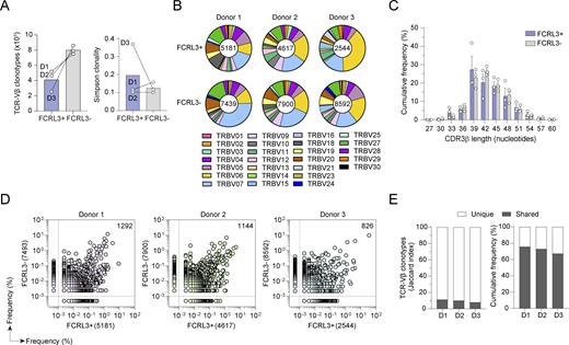 Overlapping TCR repertoire in FCRL3+and FCRL3−cells. (A) Number of unique productive TCR Vβ rearrangements (left) and Simpson’s clonality index (right) in sorted CD8+ FCRL3+ and CD8+ FCRL3− memory T cell subsets from three healthy donors (D1–D3) (initial input, 5 × 105 cells per subset). Each dot represents one donor (N = 3). Mean ± SD. (B) TCR Vβ gene family usage by CD8+ FCRL3+ (upper panel) and CD8+ FCRL3− memory T cells (lower panel) in three healthy donors. Slices in the chart represent different Vβ gene families, and their size is proportional to the frequency of clonotypes using that segment. The color-coded legend is reported for the 26 different Vβ gene family. The total number of clonotypes is indicated at the center of the pie chart. (C) Percentage of clonotypes bearing the same CDR3β length defined by the number of nucleotides. The CDR3β length of TCR Vβ clonotypes from CD8+ FCRL3+ and CD8+ FCRL3− memory T cells is shown in lavender and gray, respectively. Each dot represents one donor (N = 3). Mean ± SD. (D) Pairwise comparison of TCR Vβ clonotype frequency distribution in CD8+ FCRL3+ memory T cells (x axis) and CD8+ FCRL3− memory T cells (y axis) from N = 3 donors. Frequencies are shown as a percentage of productive templates. Each dot indicates a unique TCR Vβ clonotype. Dots outside the dashed lines represent clonotypes that were found in only one of the two samples and that were assigned an arbitrary frequency value for graphical purposes. The total number of clonotypes is indicated in the x and y axes. Values in the upper right corner represent the number of clonotypes shared between two samples. (E) Unique and shared TCR Vβ clonotypes between CD8+ FCRL3+ and CD8+ FCRL3− memory T cells in N = 3 donors. Shown are the percentage of clonotypes based on the Jaccard index (left) and their cumulative frequency (right). Data underlying this figure can be found in Data S4. Refer to the image caption for details.
