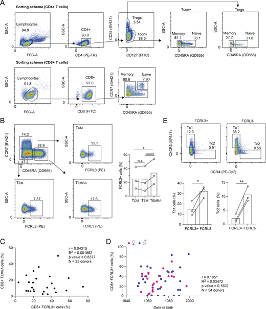Characterization of human FCRL3+cells. (A) Gating strategies (sorting scheme) for the separation of human CD4+ T cells (conventional memory and naïve T cells and Tregs, top) and CD8+ lymphocytes (bottom) from peripheral blood. For conventional CD4+ cells, naïve T cells were defined as CD4+CD25−CD45RA+CCR7+, while memory cells were CD4+CD25−CD45RA−CD127+/−. Naïve Tregs were defined as CD4+CD25hiCD127−CD45RA+CCR7+, while memory Tregs were CD4+CD25hiCD127−CD45RA−CCR7+. Naïve CD8+ T lymphocytes were sorted as CD8+ and CD45RA/CCR7 double-positive, while memory cells were CD8+CD45RA+/−CCR7+/−. (B) FCRL3 expression in different CD8+ T cell subpopulations. Among the CD8+ memory cells CD8+CD45RA+/−CCR7+/−, the subpopulations were defined as TCM CD8+CCR7+CD45−, TEM CD8+CCR7−CD45−, and T effector memory reexpressing CD45RA (TEMRA) CD8+CCR7−CD45+. Each dot represents one donor. N = 3; paired t test, two-tailed. From top to bottom: *P = 0.0365, ****P < 0.0001, n.s. (not significant), P = 0.5185. (C) Pearson’s correlation coefficient between the percentage of CD8+ FCRL3+ memory T cells and the percentage of CD8+ TEMRA cells across donors. Each dot represents one donor (N = 25). (D) Pearson’s correlation coefficient between the percentage of CD8+ FCRL3+ memory T cells and the date of birth of the donors. Each dot represents one donor (N = 54). (E) FCRL3 expression in the CD8+ T cell effector subsets Tc1 and Tc2. CD8+ memory cells CXCR3+CCR4− were defined as Tc1, and CXCR3−CCR4+ cells were defined as Tc2. Each dot represents one donor. N = 3; paired t test, two-tailed. From left to right: *P = 0.0393, **P = 0.0066. TCM, T central memory; TEM, T effector memory. Data underlying this figure can be found in Data S4.
