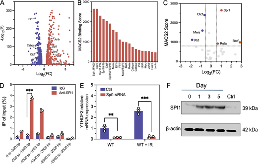 Figure 2. Refer to the image caption for details.