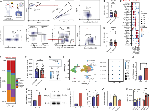 Figure S1. Refer to the image caption for details.