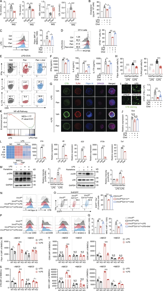 Figure S4. Refer to the image caption for details.