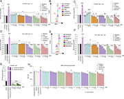 RF catabolites modulate MR1 expression on the surface of APCs. (A–C) Bar graphs depict the expression of surface MR1*01 on C1R.MR1 cells incubated for 3 h (A) or 16 h (B and C) with titrated quantities of ligands followed by staining with 8F2F9 anti-MR1 antibody. Shown in B are overlay histograms for the expression of surface MR1*01 on C1R.MR1 cells after 16-h treatment with 200 µM of RF catabolites. (D–F) MR1 was then quantified after adding the indicated concentrations of the RF catabolites on THP-1.MR1 cells incubated for 3 h (D) or 16 h (E and F). Shown in E are overlay histograms for the expression of surface MR1*01 on THP-1.MR1 cells after 16-h treatment with 200 µM of RF catabolites. (G) Bars indicate the expression of surface MR1 on C1R.MR1 cells after treatment with lumichrome overnight and then staining with 26.5 vs. 8F2F9 MAb for comparison. (H) MR1 expression on the surface of PBMC-derived B lymphocytes was measured after treatment with RF catabolites for 16 h in the presence or absence of 5-OP-RU. Data in A–G represent the gMFI fold change from three independent experiments performed in duplicates, with standard error (SEM) represented by the error bars. Data in H are the average of three independent experiments done on PBMCs from three different donors performed in duplicate, with standard error (SEM) represented by the error bars. One-way ANOVA statistical analysis was performed for all samples with Dunnett’s multiple comparisons performed using NaOH as a control (ns: not significant, *P < 0.05, **P < 0.01, ****P < 0.0001). Statistical analysis for the 5-OP-RU competition experiment (H) used 5-OP-RU as a control. MR1, MHC-I–related protein. gMFI, geometric mean fluorescence intensity.