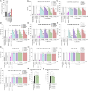 RF catabolites selectively inhibit ex vivo human MAIT cell activity. (A) Bar graph showing the proportion of CTVlow MR1-5-OP-RU tetramer+ MAIT cells as a proportion of total MAIT cells in PBMC after 7-day culture in the presence of 5-OP-RU (10 µM), RF (100 µM), lumiflavin (100 µM), lumichrome (100 µM), or alloxazine (100 µM) on day 7. (B–D) Bar graphs showing (B) MFI CD69, (C) proportion of CD69+, or (D) proportion of TNF+ MAIT cells from PBMCs coincubated with titrated doses of RF or RF catabolites in the presence of 5-OP-RU. (E and F) Bar graphs showing (E) proportion of CD69+ or (F) proportion of TNF+ MAIT cells from PBMCs coincubated with titrated doses of RF or RF catabolites in the presence of 5-A-RU. (G–J) Bar graphs showing (G) the proportion of CD69+ MAIT cells, (H) the proportion of CD69+ TRAV1-2−ve MR1-5-OP-RU tetramer−ve cells, (I) the proportion of TNF+ MAIT cells, or (J) the proportion of TNF+ TRAV1-2−ve MR1-5-OP-RU tetramer−ve cells from PBMCs preincubated with titrated doses of RF or RF catabolites followed by stimulation with PMA and ionomycin. (K and L) Bar graphs showing the proportion of CD69+ (K) MAIT cells or (L) TRAV1-2−ve MR1-5-OP-RU tetramer−ve cells, from PBMCs preincubated with titrated doses of RF or RF catabolites followed by stimulation with αCD3/αCD28-coated beads. Data from all graphs represent the average of three independent experiments performed in duplicate on PBMCs from three different donors. The error bars represent the standard error of the mean (SEM). One-way ANOVA statistical analysis was performed for all samples with Dunnett’s multiple comparisons performed using vehicle, 5-OP-RU, or 5-A-RU as controls (ns: not significant, *P < 0.05, **P < 0.01, ***P < 0.001, ****P < 0.0001).