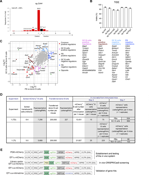 Figure S2. Refer to the image caption for details.