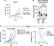 LXR agonism and radiotherapy act additively. (a) Tumor growth of mice injected with E0771 tumor cells and treated with RGX-104 and either IgG control or anti-CD40 antibody (n = 7 per group). (b) Tumor volumes of mice from a on day 17 after injection. (c) Tumor growth and survival of mice injected with CT26 tumor cells and treated with RGX-104 and radiotherapy (n = 8 per group, two-tailed t test; representative of two independent experiments). *P < 0.05, **P < 0.01, and ***P < 0.001.