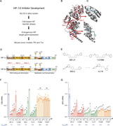 A multi-part image depicts the discovery and optimization of dual H I F-1 over 2 inhibitors, showing workflow and expression analysis.