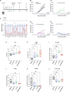 Multiple graphs depict tumor growth curves, m R N A expression, and immune cell analysis in E 0771 breast cancer model under different treatments.