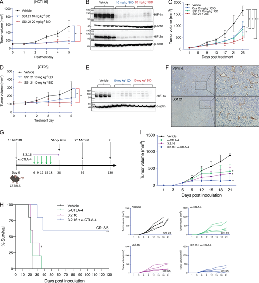 Multiple graphs depict the effects of S S 1.21 and 3.2.16 on colorectal cancer growth in mice.