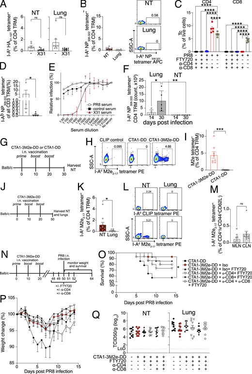 IAV-specific NT CD4 TRM are induced by vaccination and provide protection. (A) I-Ab HA91–107 tetramer-specific CD4 TRM in the NT and lungs of mice that were infected with X31 i.n. or left uninfected on day 30 following PR8 infection. The mice were treated with FTY720, and the organs were analyzed 6 days after X31 infection. Bar plot with individual data points indicating the percentage of I-Ab HA91–107 tetramer+ cells among CD4 TRM in lungs and NT. The experiment was done twice, and the results (mean ± SEM) were pooled. NS, not significant; ****P < 0.0001; ***P < 0.001; **P < 0.01; *P < 0.05 by unpaired two-tailed t test. (B) I-Ab NP306–322 tetramer-specific CD4 TRM in the NT and lungs of mice 6 days after X31 infection. The mice were treated with FTY720 from day −2 to day 5 after infection. Left: Bar plot with individual data points indicating the percentage of I-Ab NP306–322 tetramer+ cells among CD4 TRM of lungs and NT. The experiment was done twice, and the results (mean ± SEM) were pooled. Right: Representative flow cytometry plots indicating the percentages of I-Ab NP306–322 tetramer-specific CD4 TRM are shown. (C) Percentage of CD4+ and CD8+ T cells in the blood of mice on day 3 following secondary X31 infection from different groups as indicated in the Fig. 3 D. The experiment was done twice and the results (mean ± SEM) were pooled. NS, not significant; ****P < 0.0001; ***P < 0.001; **P < 0.01; *P < 0.05 by two-way ANOVA, with Tukey’s multiple comparison test. (D) Bar plot with individual data points showing the frequency of I-Ab NP306–322 tetramer+ cells among CD3+ T cells in the NT of mice treated with isotype control antibody or anti-CD4 and anti-CD8 antibody. The experiment was performed with four to five mice per group. The result is shown as mean ± SEM. NS, not significant; ****P < 0.0001; ***P < 0.001; **P < 0.01; *P < 0.05 by unpaired two-tailed t test. (E) Percentage of relative infection of MDCK cells by X31 IAV after incubation with serum derived on day 30 after infection of mice with PR8 or X31. The serum from mice immunized with irrelevant protein (COVID spike or streptavidin) was used as controls. The experiment was performed twice, and the results (mean ± SEM) are pooled. (F) Bar plot with individual data points indicating the absolute number of I-Ab NP306–322+ CD4 TRM in lungs and NT of mice on day 14 and day 30 after infection with PR8 intratracheally. The experiment was performed with five mice per group. The result is shown as mean ± SEM. NS, not significant; ****P < 0.0001; ***P < 0.001; **P < 0.01; *P < 0.05 by two-way ANOVA, with Tukey’s multiple comparison test. (G–I) I-Ad M2e2–17 tetramer+ CD4 TRM in the NT of BALB/c on day 10 after third immunization with CTA1-DD or CTA1-3M2e-DD i.n. (G) Schematic representation of the experimental setup. (H) Representative flow cytometry plots indicating the percentage of I-Ad M2e2–17 tetramer+ CD4 TRM from different treatment groups. Staining with I-Ad Human CLIP87–101 tetramer (CLIP control) is used as the negative control. (I) Bar plot with individual data points indicating the percentage of I-Ad M2e2–17 tetramer+ cells among all CD4 TRM. The experiment was repeated twice, and the results (mean ± SEM) were pooled. NS, not significant; ****P < 0.0001; ***P < 0.001; **P < 0.01; *P < 0.05 by unpaired two-tailed t test. (J–M) I-Ad M2e2–17 tetramer+ CD4 TRM in the NT and lungs of BALB/c on day 30 after last immunization with CTA1-3M2e-DD i.n. (J) Schematic representation of the experimental setup. (K) Bar plot with individual data points indicating the percentage of I-Ad M2e2–17 tetramer+ cells among all CD4 TRM of lungs and NT. The experiment was repeated twice, and the results (mean ± SEM) were pooled. NS, not significant; ****P < 0.0001; ***P < 0.001; **P < 0.01; *P < 0.05 by unpaired two-tailed t test. (L) Representative flow cytometry plots indicating the percentage of I-Ad M2e2–17 tetramer+ CD4 TRM and I-Ad human CLIP87–101 tetramer+ CD4 TRM from lungs and NT. (M) Bar plot with individual data points indicating the percentage of I-Ad M2e2–17 tetramer+ cells among all CD4 TEM of MLN and cLN in mice immunized as shown in Fig. S3 J. The experiment was repeated twice, and the results (mean ± SEM) were pooled. NS, not significant; ****P < 0.0001; ***P < 0.001; **P < 0.01; *P < 0.05 by unpaired two-tailed t test. (N–P) Survival rate and weight loss of CTA1-3M2e-DD or CTA1-DD-immunized BALB/c mice that were infected with PR8 in URT-restricted manner and were treated with or without FTY720 and anti-CD4 antibody or anti-CD8 antibody or isotype control antibody. (N) Schematic representation of the experimental setup. (O) Kaplan–Meier survival curves of mice from different groups after PR8 infection. The experiment was repeated thrice, and the results were pooled. *P < 0.05 by log-rank Mantel–Cox test. Significant differences were found between CTA1DD versus CTA1M2eDD+Iso (*) and CTA1DD versus CTA1M2eDD+Iso+FTY720 (*). Comparisons between CTA1M2eDD+Iso versus CTA1M2eDD+a-CD4+FTY720/CTA1M2eDD+a-CD8+FTY720/CTA1M2eDD+a-CD4+a-CD8+FTY720 were run but nonsignificant. (P) Weight loss curve for mice from different treatment groups as indicated. The experiment was repeated thrice, and the results (mean ± SEM) were pooled. Statistical comparisons between treatment groups (NS, not significant; ****P < 0.0001; ***P < 0.001; **P < 0.01; *P < 0.05) were performed using a linear mixed-effects model with comparisons of weight across treatment groups (averaged over time) using estimated marginal means and pairwise comparisons with Tukey’s honest significant difference adjustment. Statistical comparisons across groups for each day are reported in Table S2. (Q) Scatter plot indicating viral titers (TCID50/g) in NT and lungs of immunized mice as shown in Fig. S3 N on day 3 following infection with PR8 IAV. The experiment was repeated thrice, and the results (mean ± SEM) are pooled. No significant difference was found between the groups by one-way ANOVA, with Dunnett’s multiple comparison test. Refer to the image caption for details.