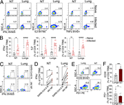 A multi-part image depicts cytokine expression and activation markers in C D 4 tissue-resident memory cells from non-lymphoid tissues and lungs.
