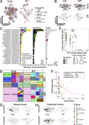 A multi-part image depicts single cell T C R sequencing of C D 4 T R M, revealing clonal sharing between organs.