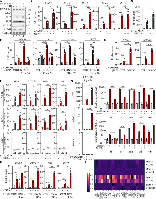 A multi-part image shows the effects of DNA-PKcs on 2'3'-cGAMP signaling in T98G and THP-1 cells, showing gene expression.