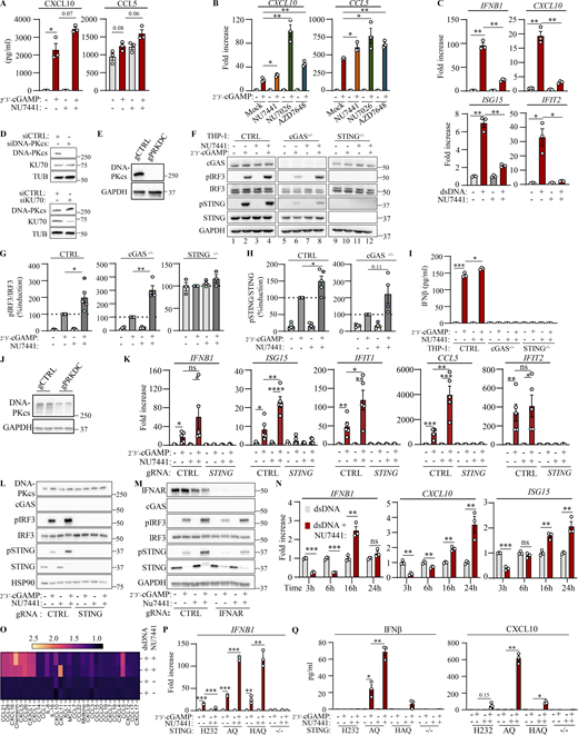 Figure S2. Refer to the image caption for details.