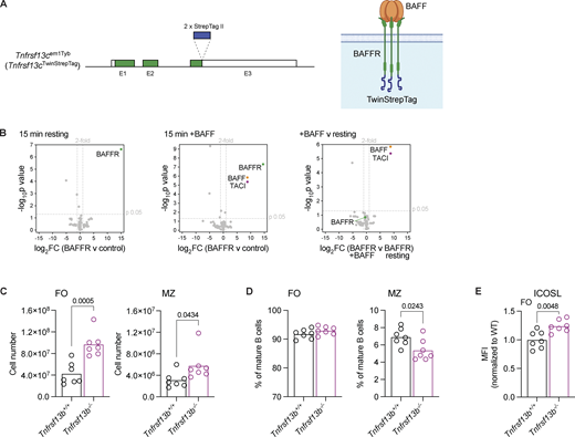 Figure S1. Refer to the image caption for details.