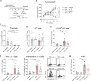A multi-panel image depicts the effects of IL-2 neutralization and Treg cell depletion on tumor growth and immune cell populations in mice.