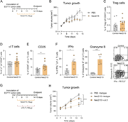A multi-panel image depicts tumor growth and immune cell responses in mice.