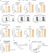 A multi-panel image depicts the effects of Treg cells and treatments on T cell activation, proliferation, and function in human and mouse models.
