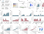 A multi-part figure depicts the optimization of HDR efficiency in NK cells through various strategies.