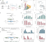 A multi-part image depicts optimization of plasmid-based non-viral knock-in strategies.