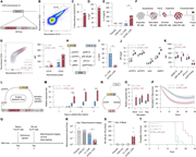 A multi-panel image illustrates the effects of CISH-converted OR-gated CAR with sIL-15 on NK cell function.