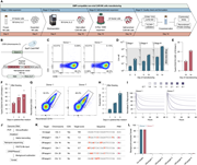 A multi-panel figure illustrates the process and results of GMP-compatible CAR-NK cell production using non-viral genome editing.