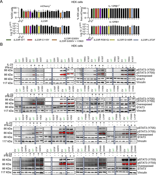 Figure S1. Refer to the image caption for details.
