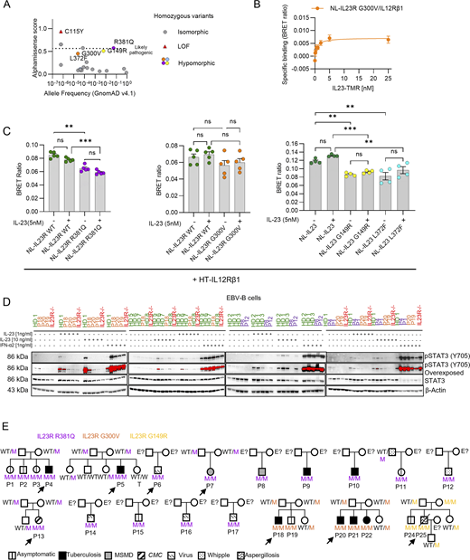 Figure S2. Refer to the image caption for details.