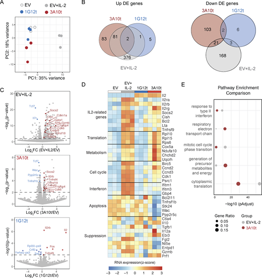 A multi-panel image depicts RNA-seq analysis of engineered Tregs.