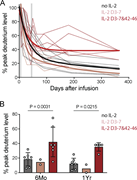 Graphs depict deuterium levels in type 1 diabetes patients after Treg infusion.