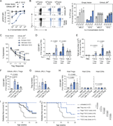 Multiple graphs depict the performance of orthoIL-2 1G12, showing its higher potency and cross-reactivity on wtIL-2R.