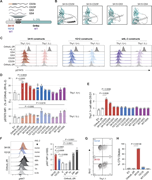 A multi-panel image depicts engineered IL-2-IL-2R system components and their effects on Tregs.