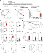 A multi-panel image depicts the function of Tregs expressing tethered 3A10-orthoIL-2R.