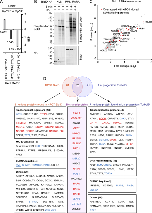 Figure S1. Refer to the image caption for details.