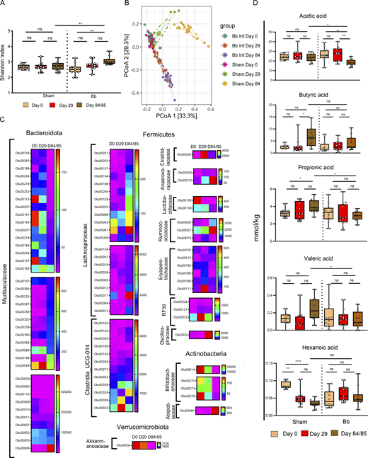 A multi-panel image depicts changes in gastrointestinal microbiome of Bb-infected mice.