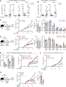 A multi-panel image depicts the effects of anti-CD1d on tumor growth and immune cell populations.