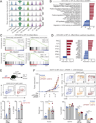 A multi-panel image depicts gene expression, pathway enrichment, and experimental results related to inflammatory monocytes.