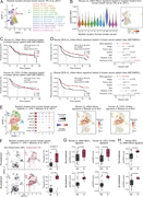 A multi-panel image depicts myeloid cell clusters and survival analyses in breast cancer patients.