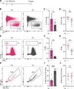 A multi-panel image depicts the effects of antibody infusion on immune responses in mice.