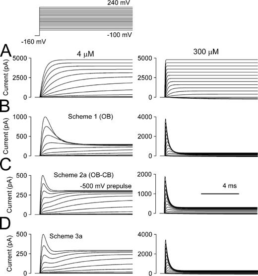 Figure 2. Current simulations with different blocking models. (A) Families of traces show control currents (no bbTBA) simulated with the indicated voltage protocol and either 4 µM Ca2+ (left) or 300 µM Ca2+ (right) using the 10-state activation model (Fig. S1 A). (B) Currents were simulated with classical open-state block in conjunction with the 10-state activation model (Scheme 1a). The slower onset of block in comparison to models with block of closed states reflects the coupling of inactivation to activation. (C) Traces show currents activated by the same conditions but with blockade defined by the full state–independent blocking model (Scheme 2a) with Kbo = Kbo and zo = zc. Note the prominent triphasic currents at 4 µM Ca2+. (D) Traces show currents simulated with Scheme 3a (block depends on activation of at least one voltage sensor) as well as prominent triphasic current relaxations at 4 µM.