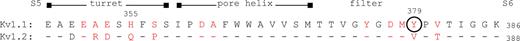 Formula. Refer to the image caption for details.