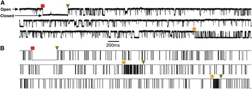 Figure 3. Modal gating time series. (A) Single-channel current record of IP3R channel gating in the presence of = 1 µM and = 10 µM. (B) Simulated binary on/off single-channel current record generated from the model. The squares, bullets, and triangles indicate a transition to the L, I, and H gating mode, respectively.