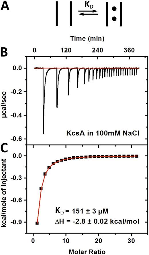 Figure 2. K+ ion binding to KcsA K+ channel using ITC. (A) A generic model showing K+ ions binding to the channel. (B) Thermogram showing the heat exchange associated with K+ binding to the KcsA in 100 mM NaCl. (C) The ITC data were integrated and fit to a one-ion binding model to determine the affinity and enthalpy. The values shown are the parameters describing this experiment (see Table S1 for average values across multiple experiments).