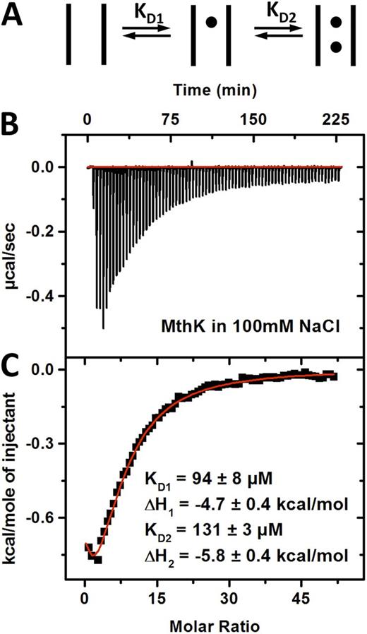Figure 4. K+ ion binding to MthK K+ channel using ITC. (A) A generic model showing two K+ ions binding to the channel. (B) Thermogram showing the heat exchange associated with K+ binding to MthK in 100 mM NaCl. (C) The ITC data were integrated and fit to a two-ion binding model to determine the affinities and enthalpies for each K+ ion–binding event. The values shown are the parameters describing this experiment (see Table S2 for average values across multiple experiments).