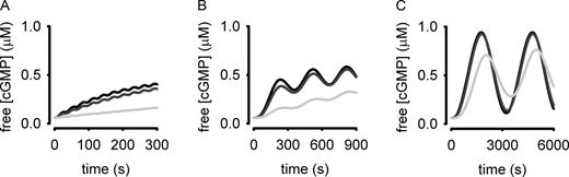 Figure 4. Simulations depicting the effects of buffering by cyclic nucleotide probes. Simulations depict the cGMP responses in cells expressing 0.05 (black lines), 0.5 (red lines), and 5 µM (green lines) FRET probes (the parameter buf = 0.05, 0.5, and 5 µM, respectively). The K1/2 of the probe for cGMP was set to 1 µM. Input frequencies were 30, 300, and 3,000 s (as in Fig. 3). Note the different timescales for each simulation. Equations as well as parameter definitions and values are given in the supplemental text.