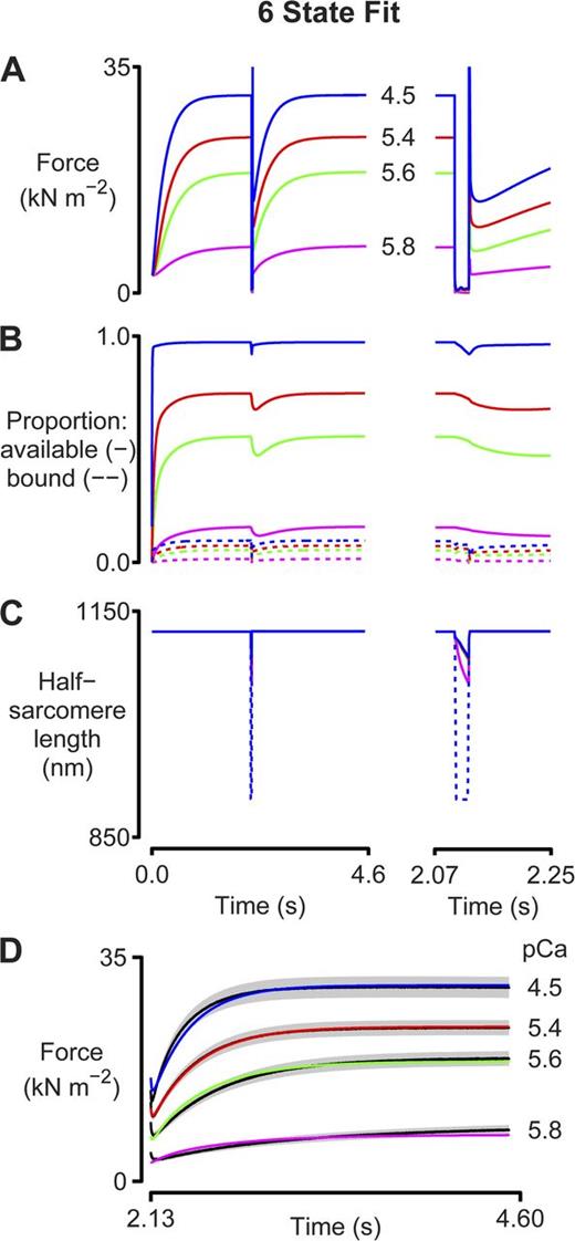 Figure 5. Six-state fit. As for Fig 3, except that simulations were performed using the six-state kinetic scheme shown in Fig 4. Model parameters are listed in Table S3. A–D are as described in the legend to Fig. 3.