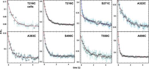 Figure 2. Rapid mixing stopped-flow measurements of FeEnt binding to FepA. 1010 cells of OKN3 harboring pHSG575 derivatives with fepA Cys substitutions were grown, fluoresceinated, washed, resuspended in PBS, and lysed by two passages in a French pressure cell at 14,000 psi (see Materials and methods). We collected the cell envelope fractions, containing OM fragments (Smit et al., 1975), by centrifugation, resuspended them in 2 ml of PBS, and performed rapid-mixing stopped-flow experiments with an equal volume of 200 nM FeEnt in an OLIS-SLM8000 fluorometer. We collected FeEnt quenching time courses and averaged and analyzed the data with GraFit 6.011. The top left panel shows rapid-mixing stopped-flow data for intact cells expressing FepAT216C-FM; other panels derive from analysis of OM fragments from the indicated FM-labeled FepA Cys mutants. We performed the experiment three times for each mutant and averaged the results (open circles); the standard deviations of the mean values are shown as cyan error bars; red curves derive from fits to single exponential relaxations; the blue curve for S271C-FM derives from a fit to a double exponential decay process. See Fig. S6 for the raw data, and Table 1 for the resulting rate constants from these measurements.