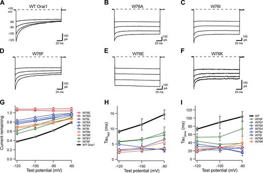 Figure 5. CRAC channel CDI phenotypes for mutations at Orai1 position W76. All currents were recorded and analyzed as described for Fig. 3. Representative currents are shown for WT Orai1 (A, same traces shown in Fig. 3 A) and Orai1 point mutants. W76A (B), W76I (C), W76F (D), W76E (E), and W76K (F), with the extent of CDI for this series summarized in G. Fast (H) and slow (I) time constants from biexponential fits are plotted against test potential; amplitudes of fast and slow components are shown in Fig. S3 (C and D). Each point on the summary graphs represents the mean ± SEM for n = 4–6 cells. Representative currents for additional mutations on the summary graphs are shown in Fig. S6.