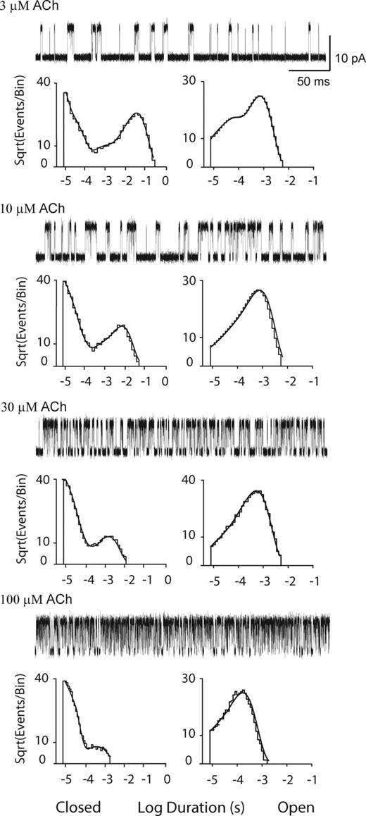 Figure 5. Analysis of simulated single channel currents for the adult human wild-type AChR activated by ACh. For each of the indicated ACh concentrations, a segment of simulated single channel activity is displayed at a bandwidth of 25 kHz (Materials and methods), and the corresponding closed and open time histograms are displayed with the global fit of Scheme 1 to the data overlaid. Rate constants for simulation are those from the global fit of Scheme 1 to the experimental data (Table 1), but with channel gating rate constants of β2 = 125,000 s−1 and α2 = 2100 s−1 determined by iterative simulations followed by kinetic fitting (see Table S4). Rate constants from fitting Scheme 1 to the simulated data are presented in Table 1.