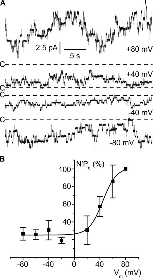 Figure 2. Channel voltage dependence in the cell-excised inside-out configuration. Experiments were performed under symmetrical NMDG-Cl conditions (pH 7.4), and pipette solution contained 5 mM Ca2+ and bath solution was calcium free. (A) Representative current recordings at the Vm values are given on the right side of each trace. The dashed lines indicate the closed channel current levels (C-). Channel unitary conductance and reversal potential in these conditions (pHi 7.4) are given in Table S1. (B) Mean N′Po/Vm relationship. N′Po data were normalized to the respective N′Po at Vm 80 mV. Each point is the mean of 6–10 measurements, and SEM is shown as error bars. The continuous line is a nonlinear least squares fit with the Boltzmann equation of mean normalized data.